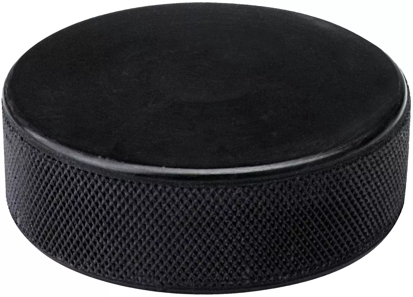 IJshockeypuck